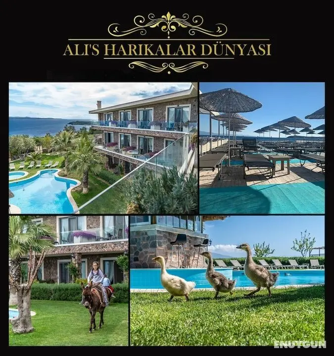 Assos Alis Farm Boutique Hotel & SPA - Öne Çıkan Resim