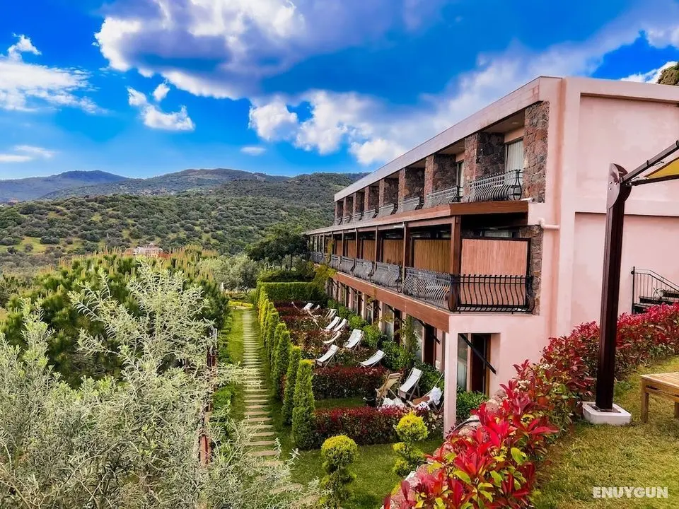 Assos Longevity Hotel - Öne Çıkan Resim