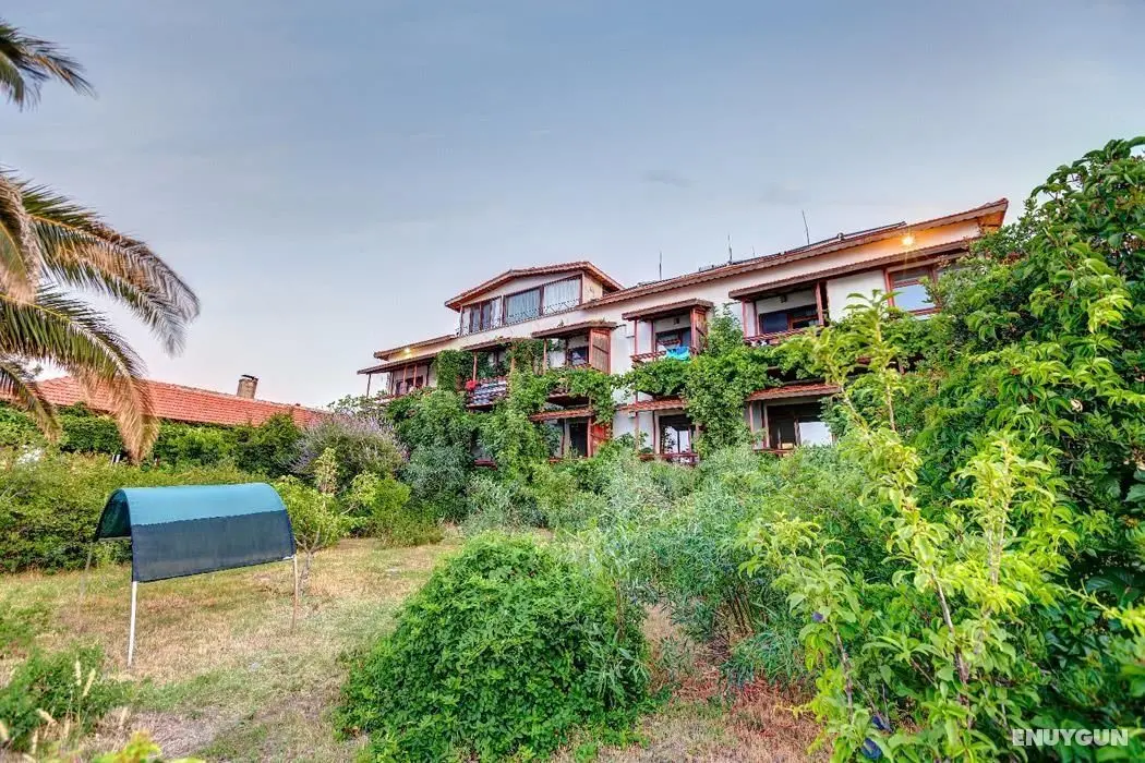 Assos Terrace Hotel - Dış Mekan
