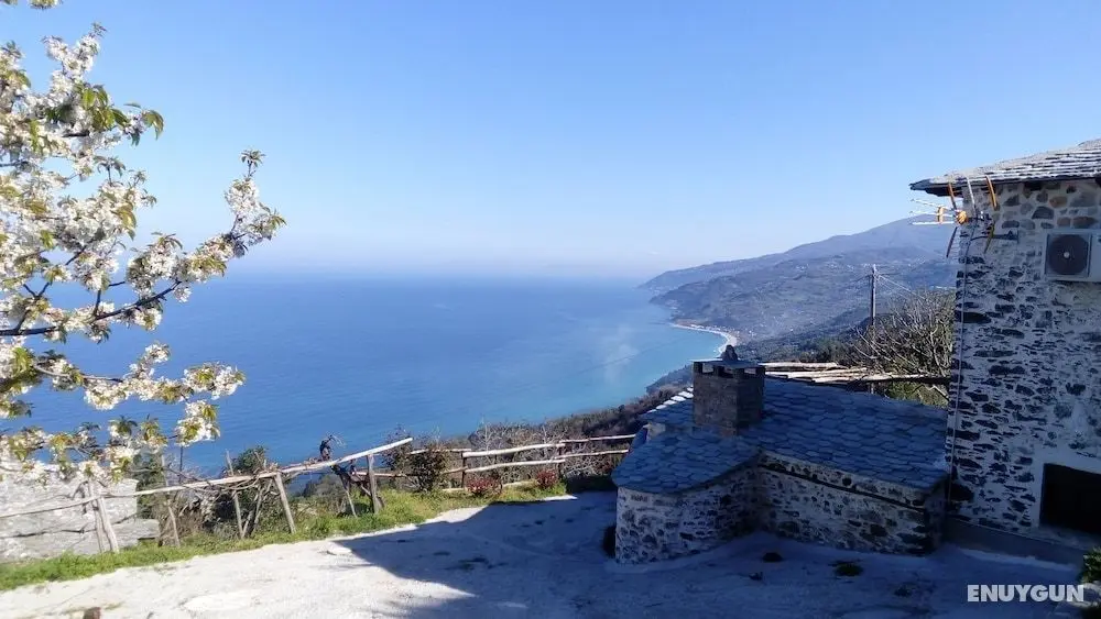 Villa Asterina - Öne Çıkan Resim