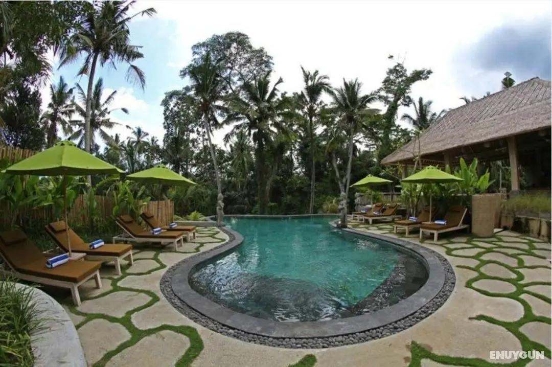 Atta Mesari Resort & Spa - Genel
