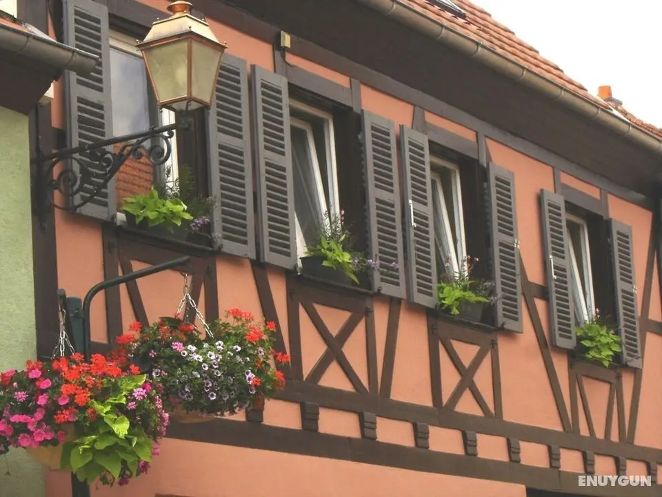 Au Coeur D'alsace Chambres D'hôtes - Dış Mekan