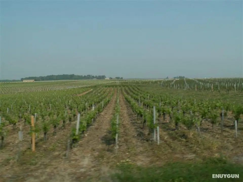 Au Coeur du Médoc - Dış Mekan