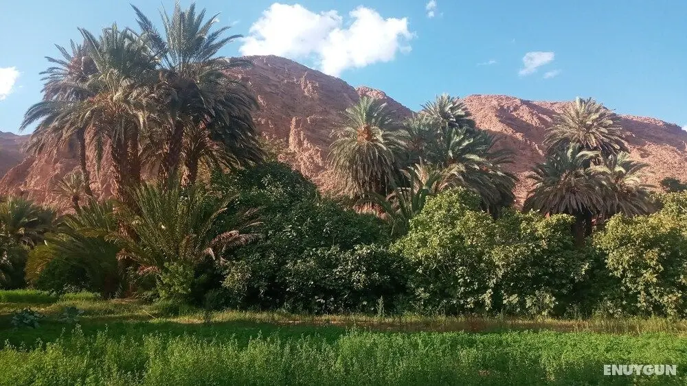 Auberge Ali - Öne Çıkan Resim