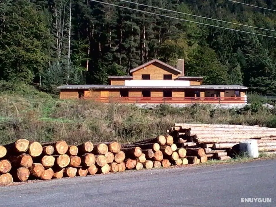 Auberge Du Pays De Sault - Öne Çıkan Resim