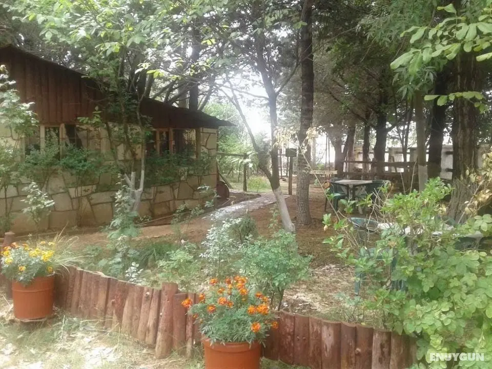 Auberge La Forestiere - Dış Mekanlar