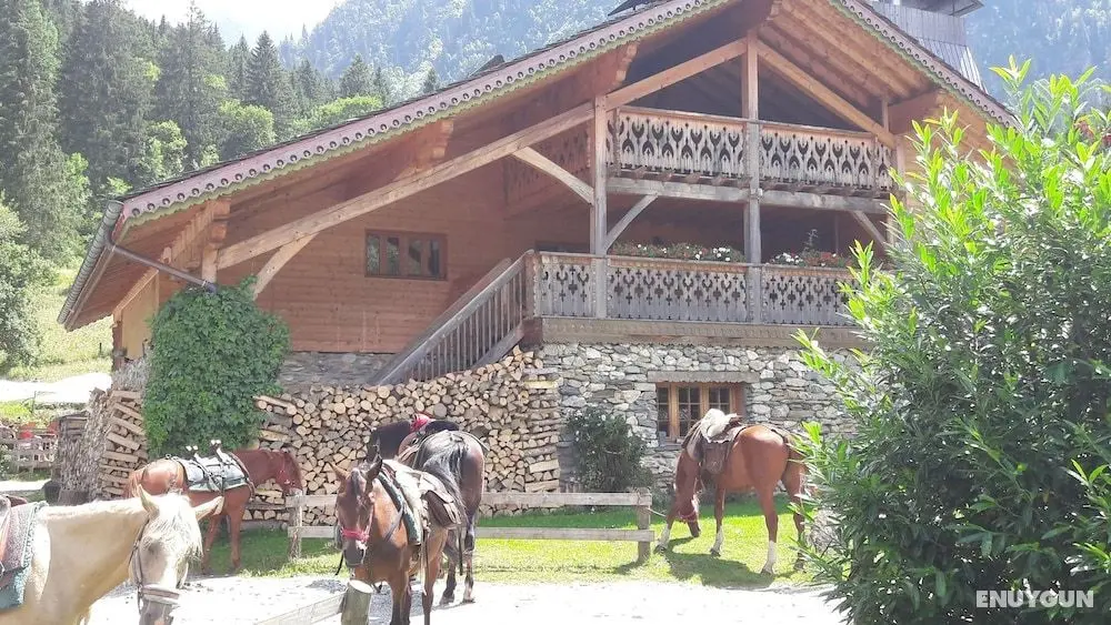 Auberge Nemoz - Öne Çıkan Resim