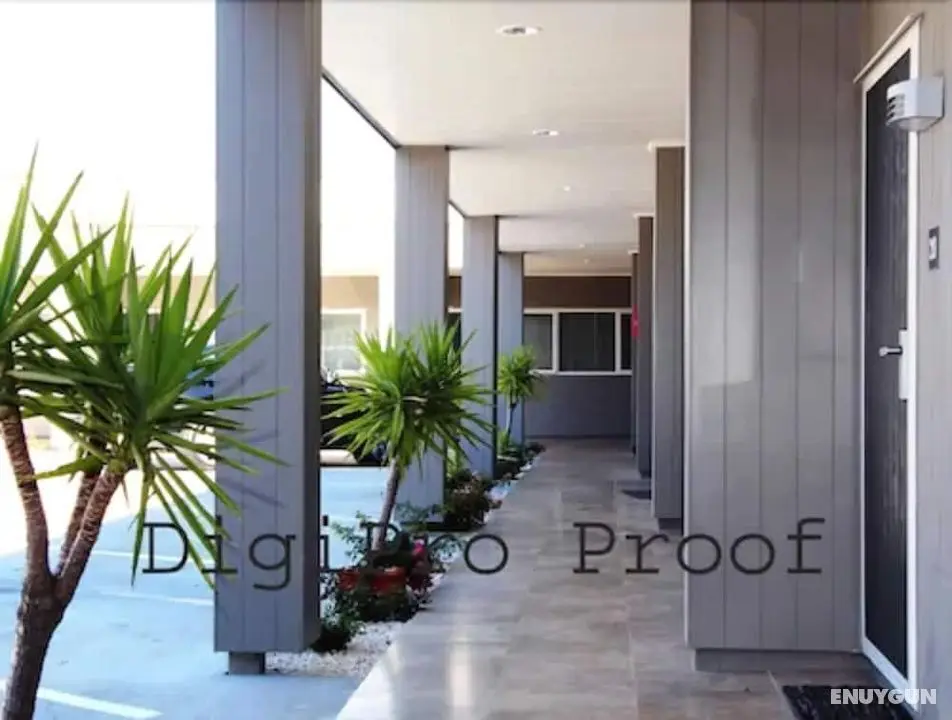Auckland Phoenix Palm - Lobi