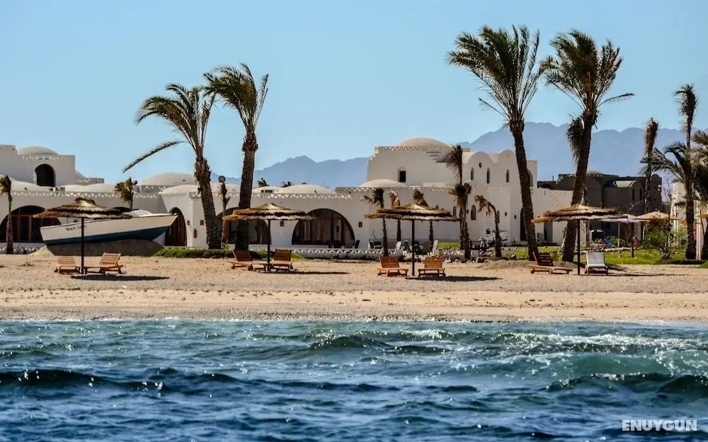 Aurora Beach Safari Resort - Öne Çıkan Resim