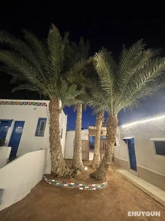 Auski Hostel Dahab - Öne Çıkan Resim