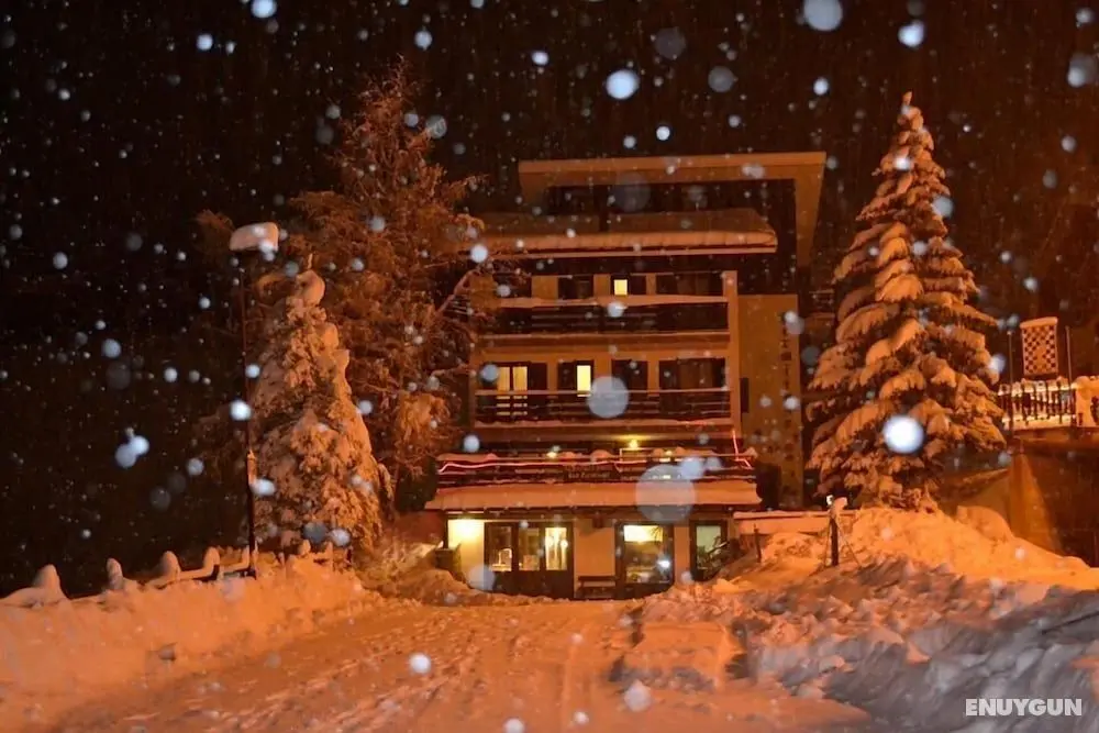 Avalanche - Alpine Boutique Hotel - Öne Çıkan Resim
