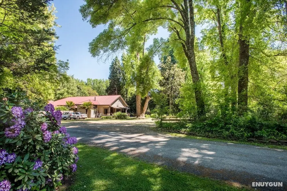 Avalon House - Öne Çıkan Resim