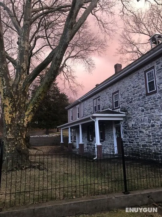 The Avenue Guesthouse and Gallery - Öne Çıkan Resim