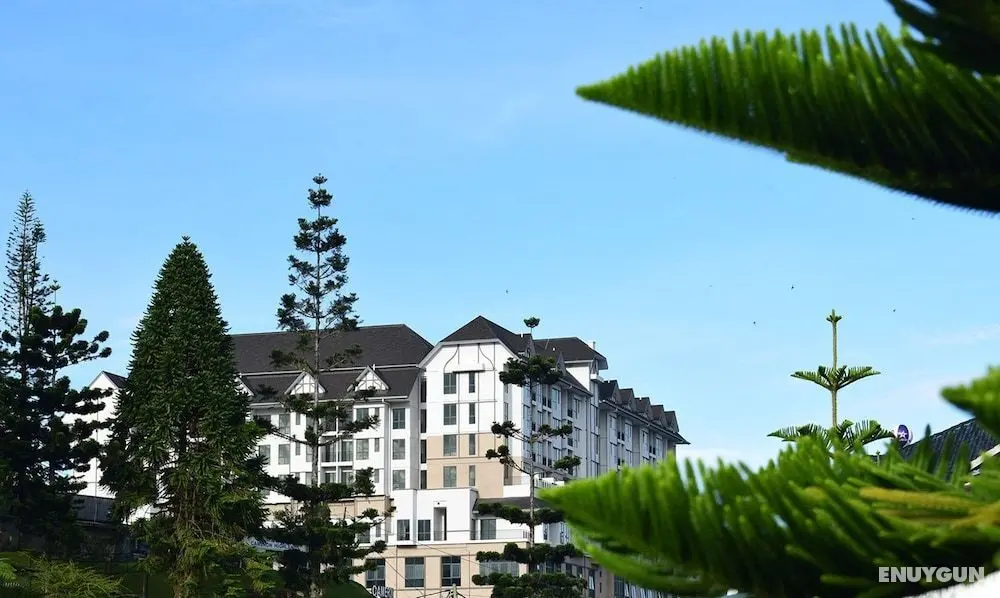 Avillion Cameron Highlands - Öne Çıkan Resim