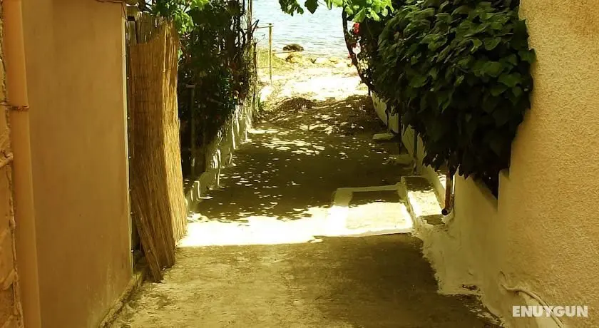 Avra Budget Beach Hotel - Genel