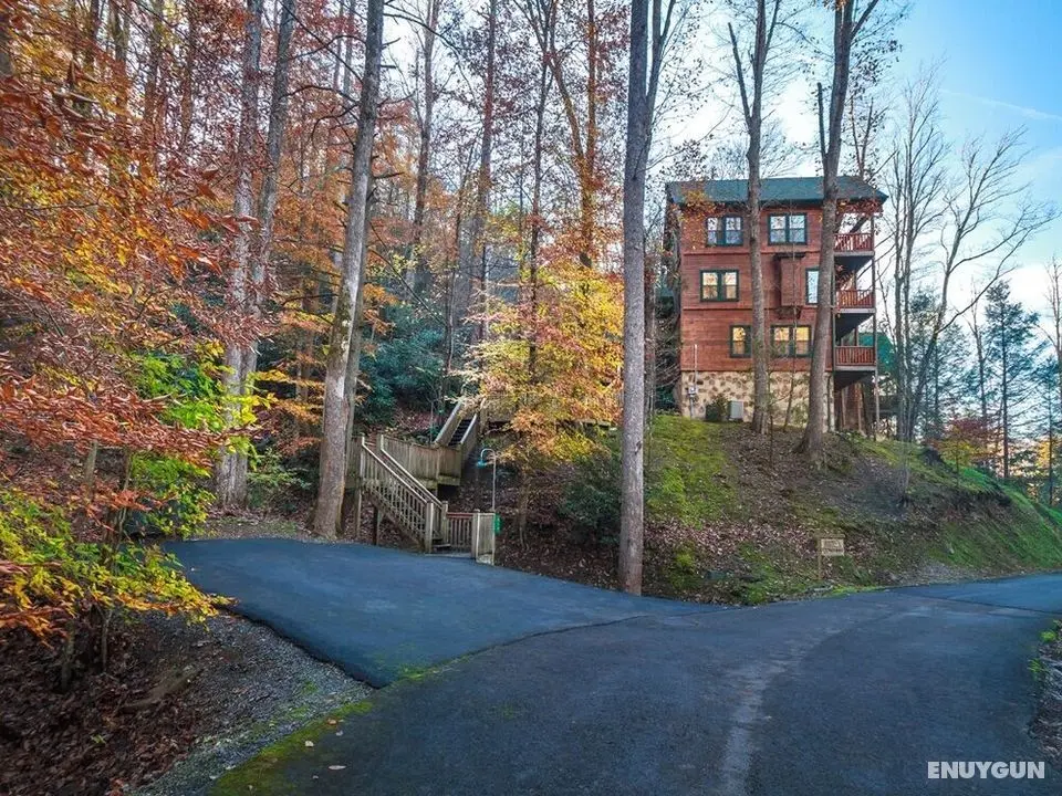 Away From it All by Jackson Mountain Homes - Öne Çıkan Resim