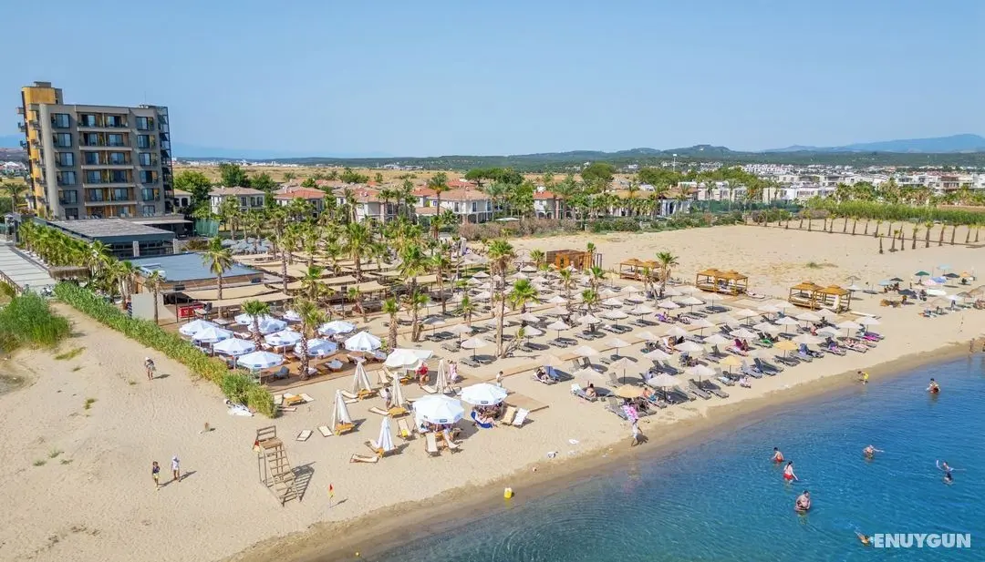 Ayvalık Sea Long - Öne Çıkan Resim