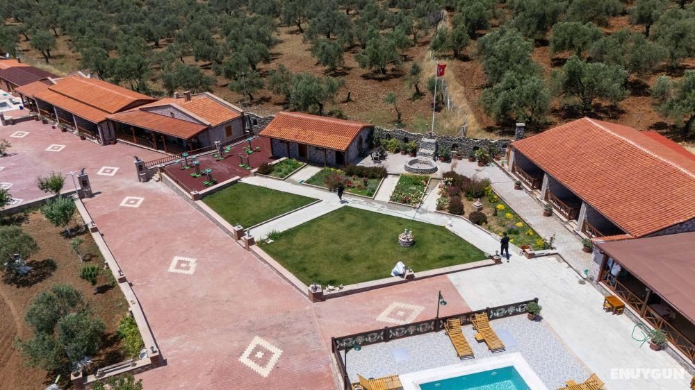 Ayvalık Yeşil İnci