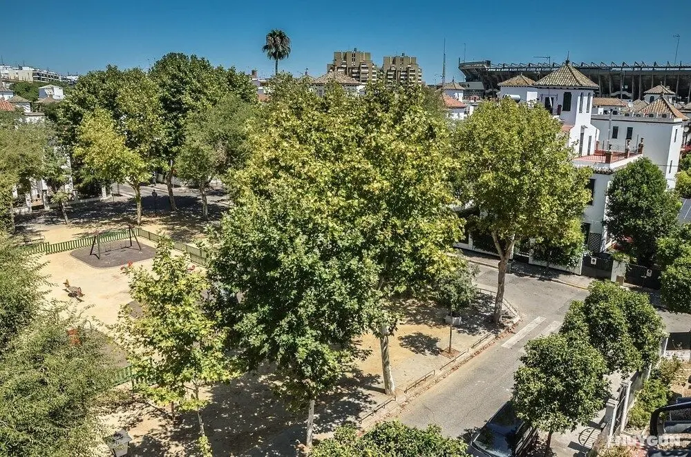 Azahar Apartamentos Heliópolis II - Oda Manzaraları