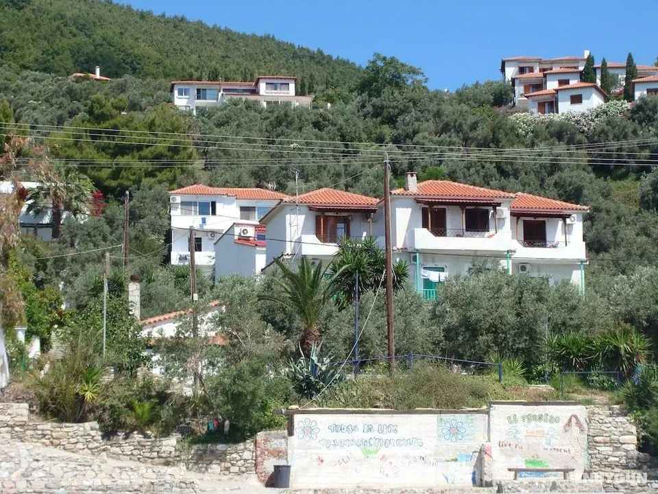 Azalea Studios - Öne Çıkan Resim