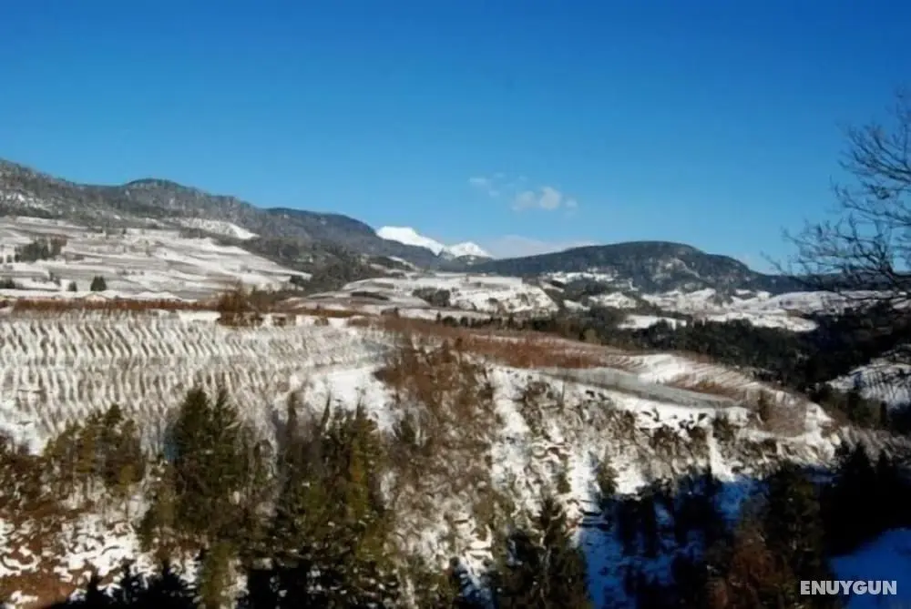Azienda Agricola Castel Vasio - Öne Çıkan Resim