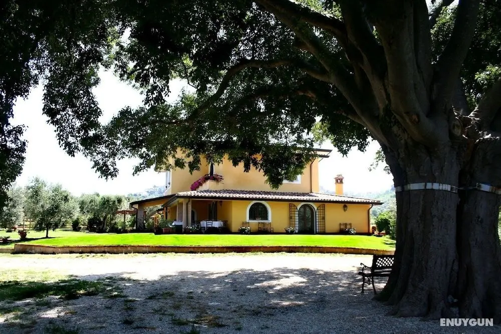 Azienda Agricola Il Bagolaro - Öne Çıkan Resim