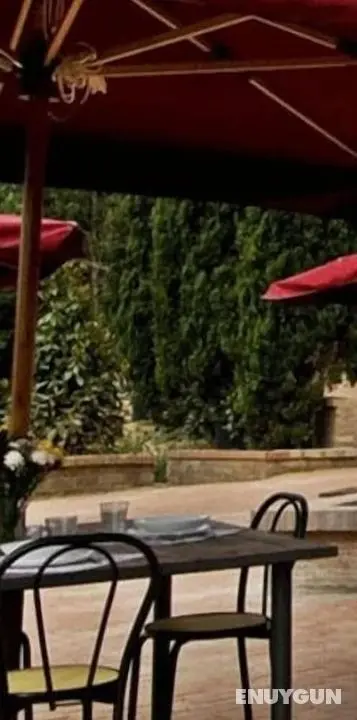 Azienda Agricola Sinisi - Öne Çıkan Resim