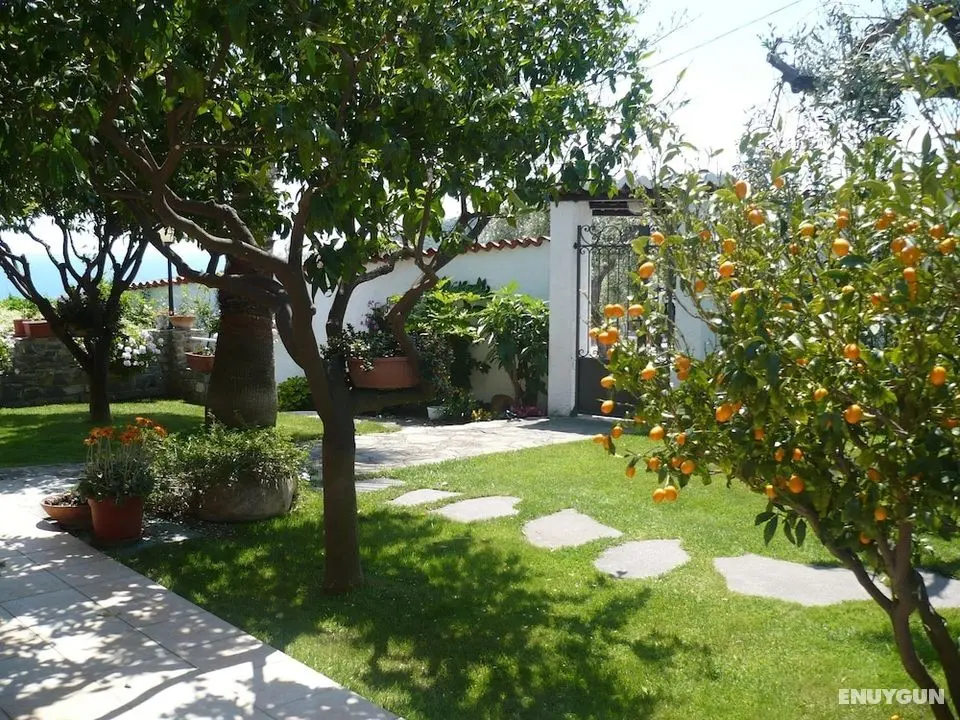 Azienda Agrituristica Villa Arianna - Öne Çıkan Resim