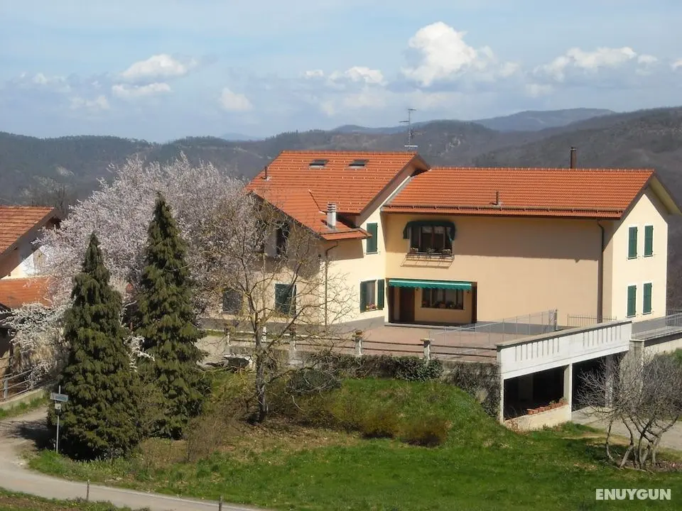 Azienda Agrituristica Lavagè - Dış Mekan