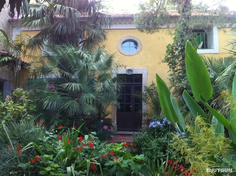 Azienda Salamo Villa Leona - Öne Çıkan Resim