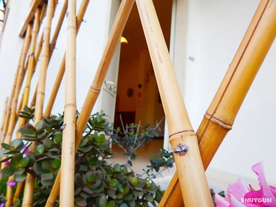 B&B Allo Scrigno - Dış Mekan