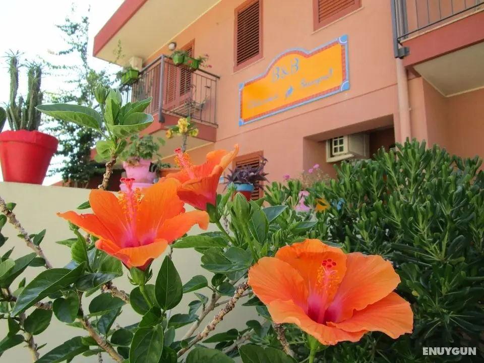 B&B Felicidad Siempre - Öne Çıkan Resim