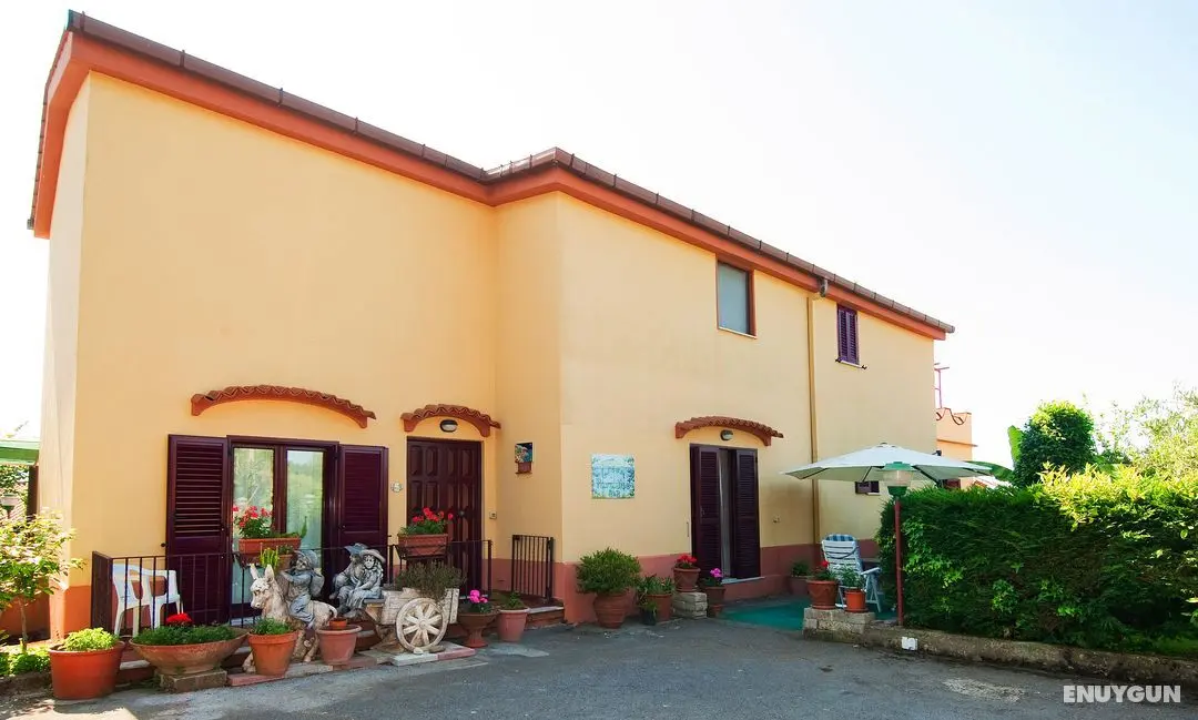 B&B Green Paradise - Genel