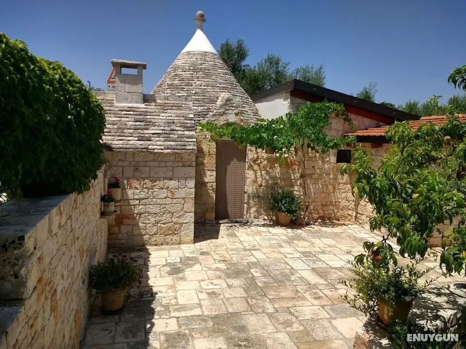 B&B Il giardino degli ulivi - Dış Mekan