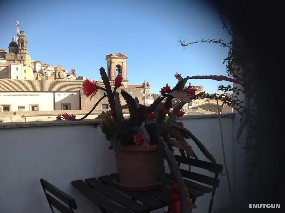 B&B Il Piccolo Attico - Oda Manzaraları
