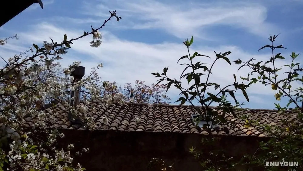 B&B Il Vaso di Creta - Dış Mekan