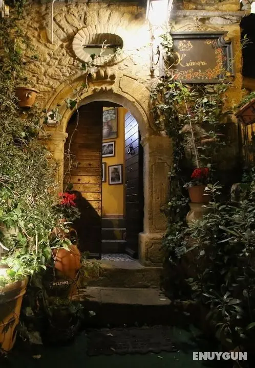 B&B Kimera - Öne Çıkan Resim