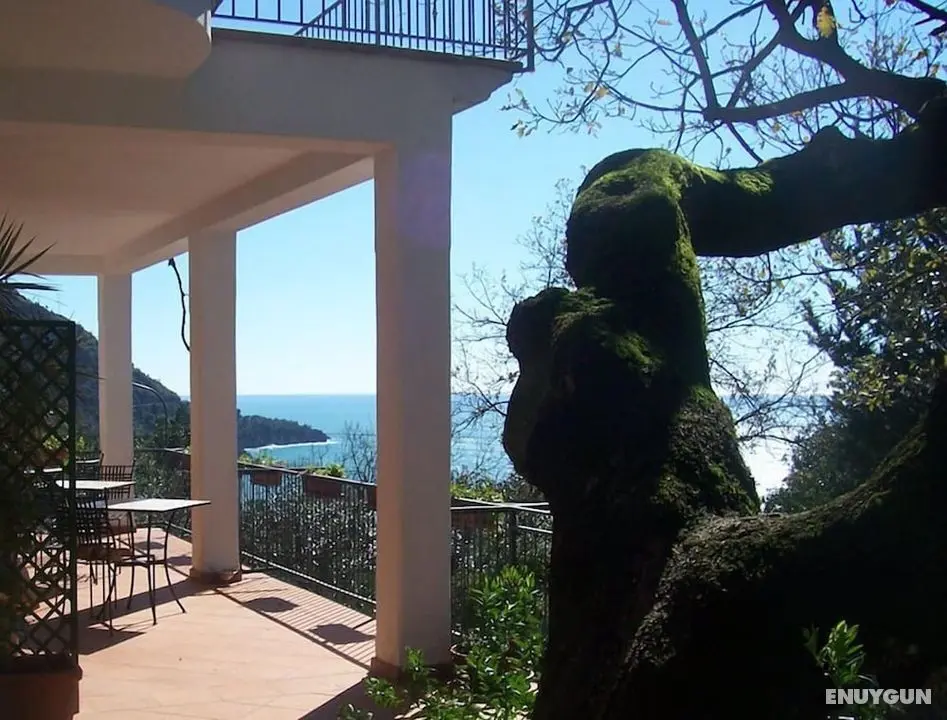 B&B La Casa Del Gelso - Öne Çıkan Resim