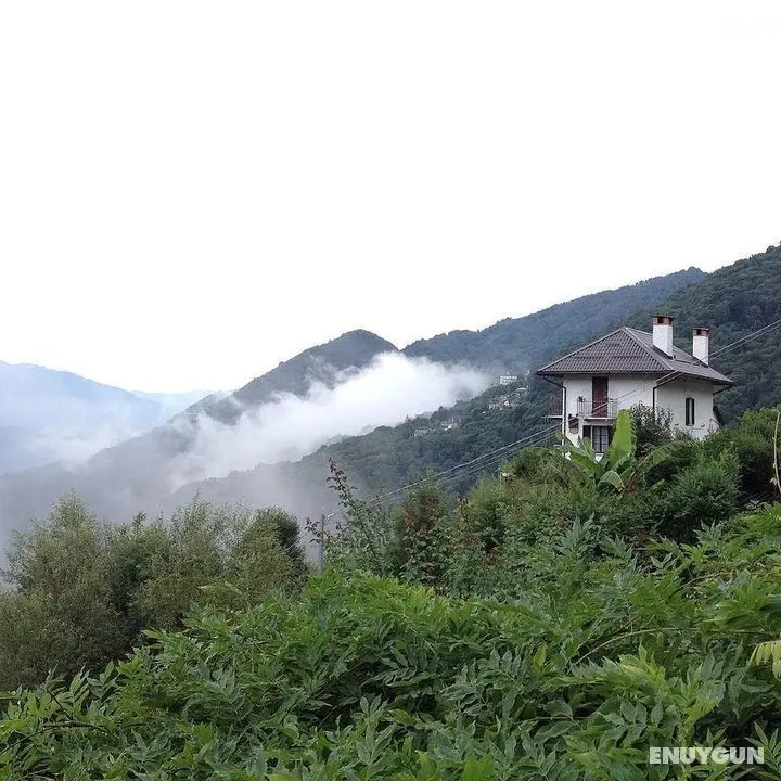 B&B La Locanda del Cinghiale - Öne Çıkan Resim