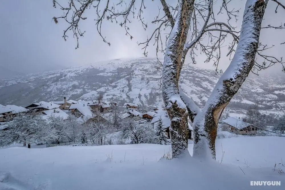 B&B - La Portette - Dış Mekan