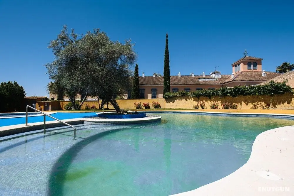 B&B Las Brisas - Havuz