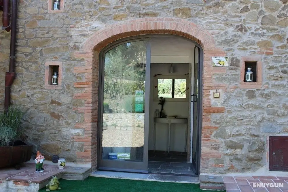 B&B Poggio Del Drago - Genel