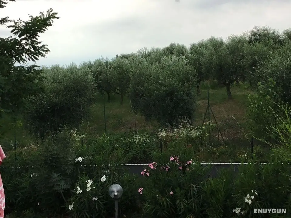 B&B Villa Roncatti - Dış Mekan