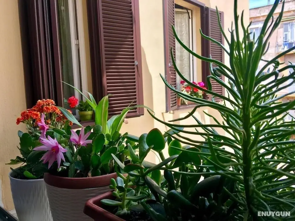 B&B Smart - Dış Mekan