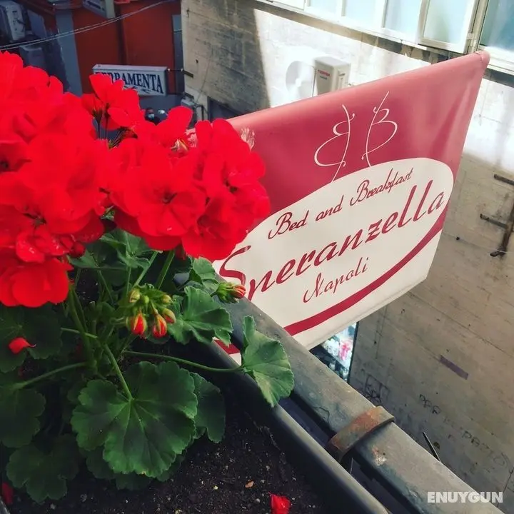 B&B Speranzella - Dış Mekan