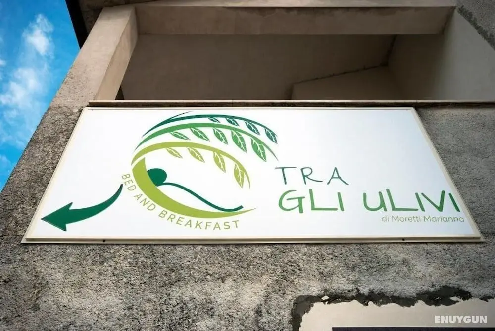 B&B Tra Gli Ulivi - Dış Mekan