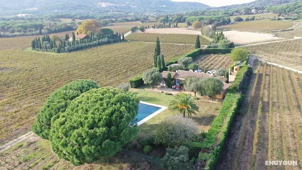 B&B Wineyard Pampelonne - Öne Çıkan Resim