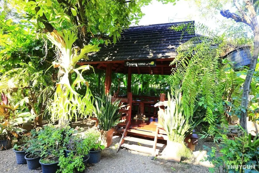 Baan Thapae Boutique Resort and Thai & Relax Massage - Öne Çıkan Resim