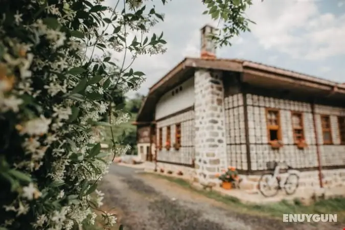 Babalık Doğal Yaşam Konağı - Genel