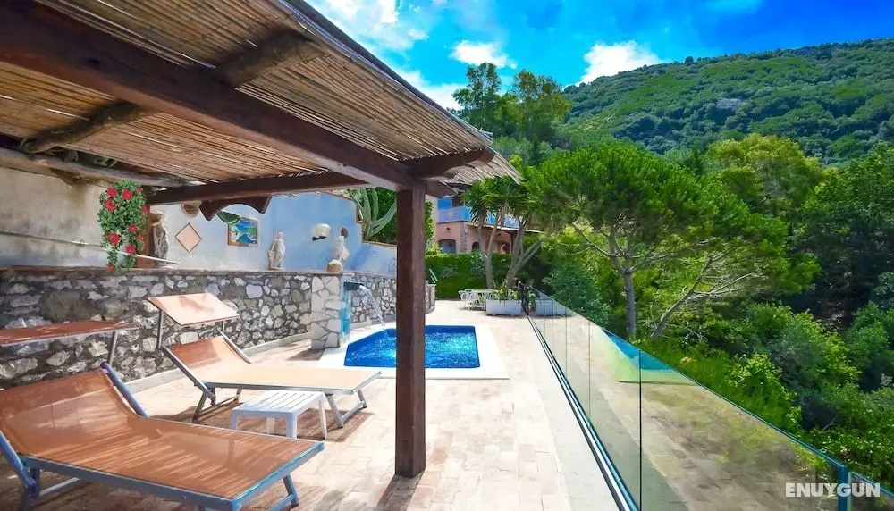 Villa Bacco - Öne Çıkan Resim